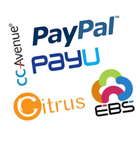 Multiple Payment gateways & COD